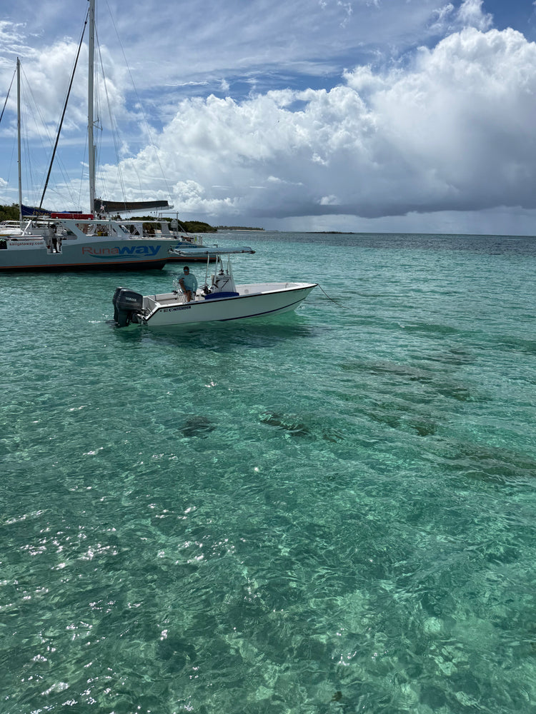 The Summer Collection