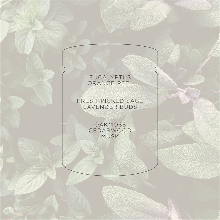 Wild Sage + Oakmoss