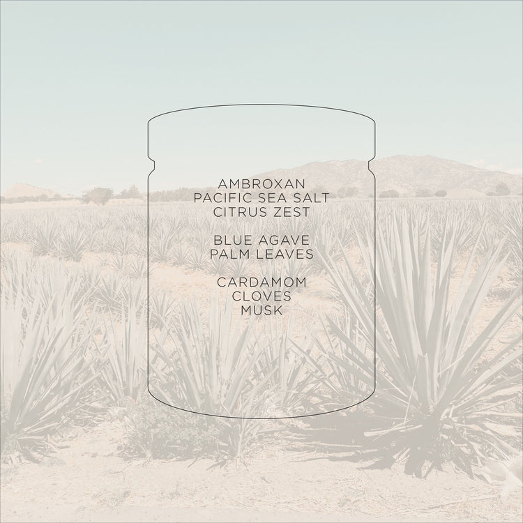 Azul Agave + Salt