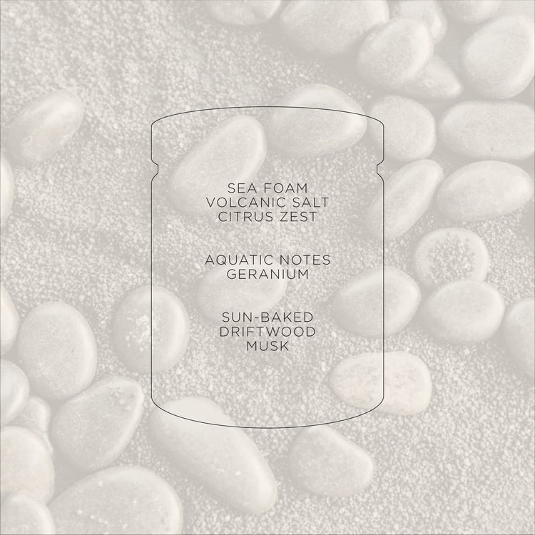 Black Sands + Driftwood