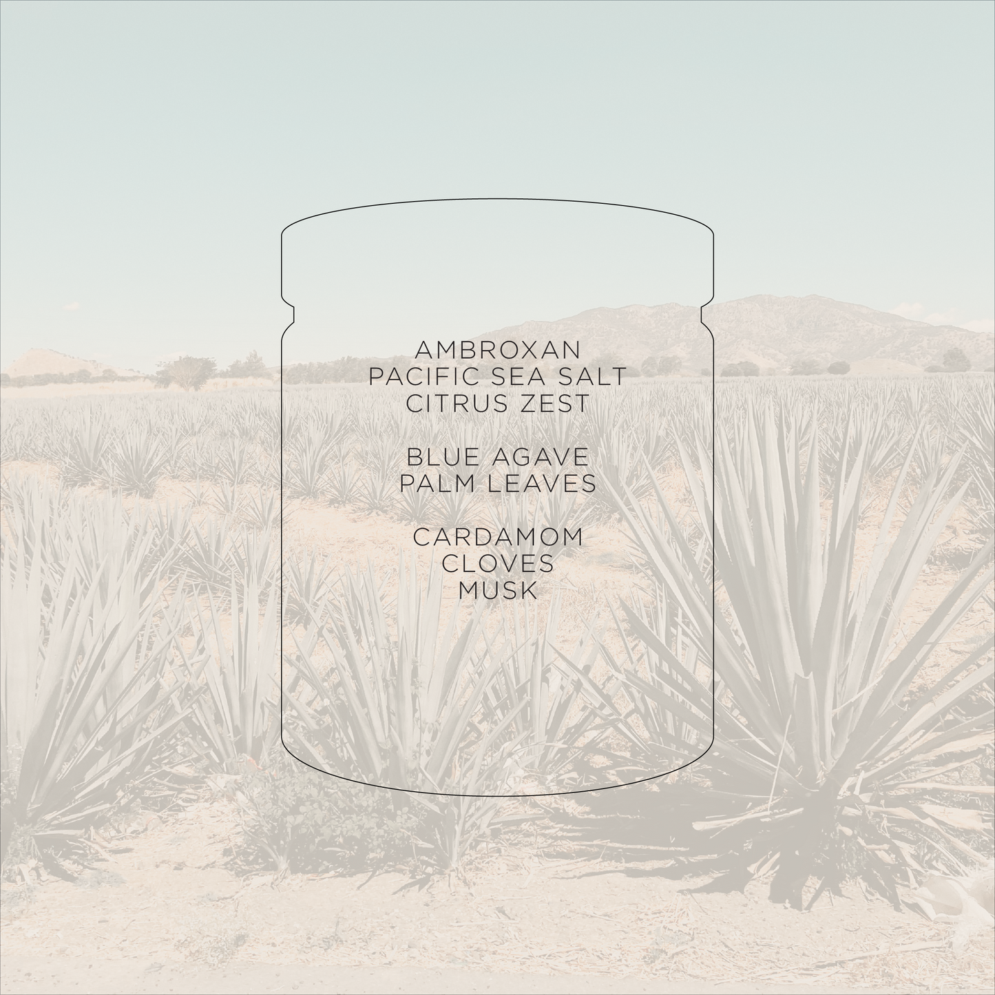 Azul Agave - Large Soy Candle