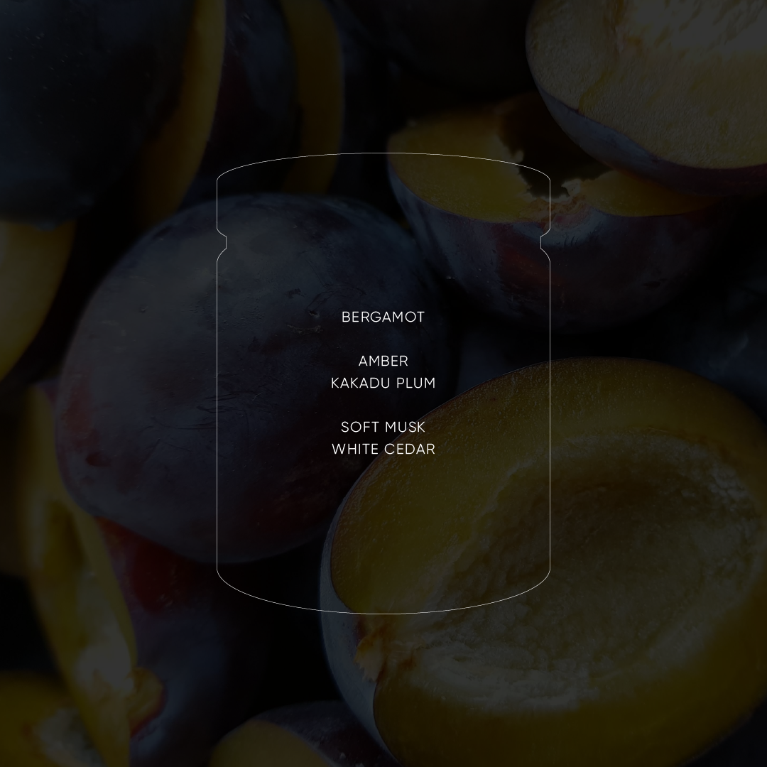 Kakadu Plum + Amber - Classic Soy Candle