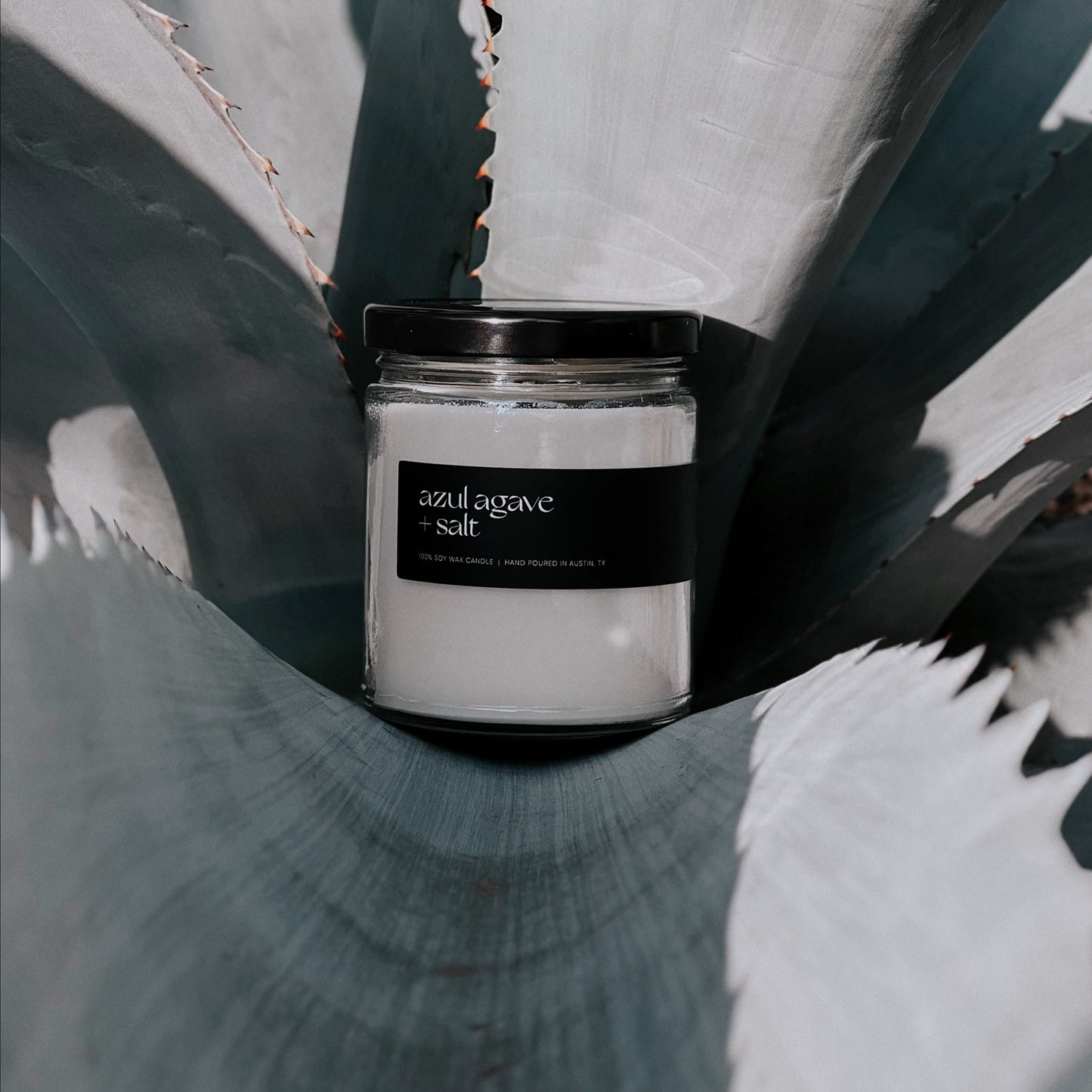 Azul Agave - Classic Soy Candle