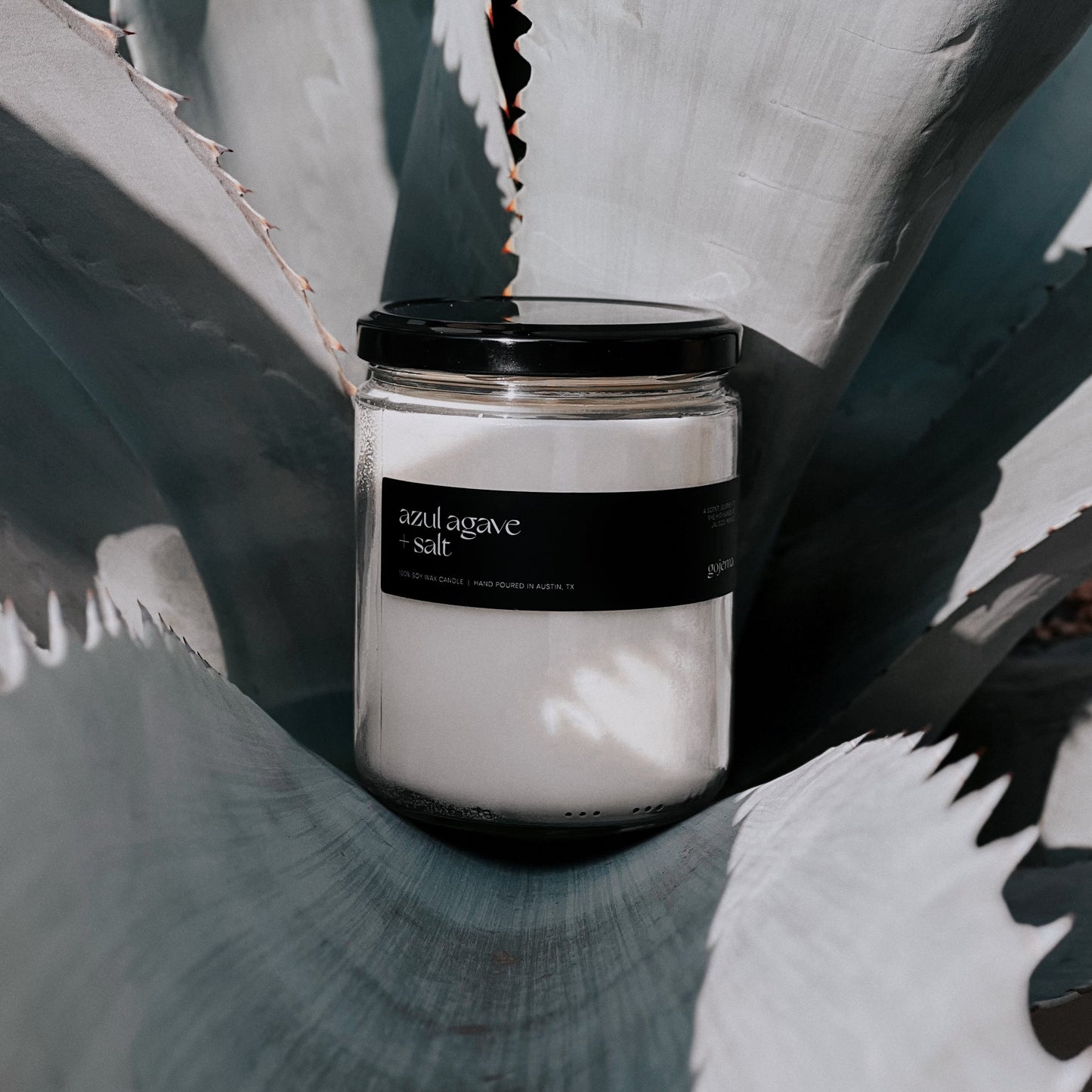 Azul Agave - Large Soy Candle
