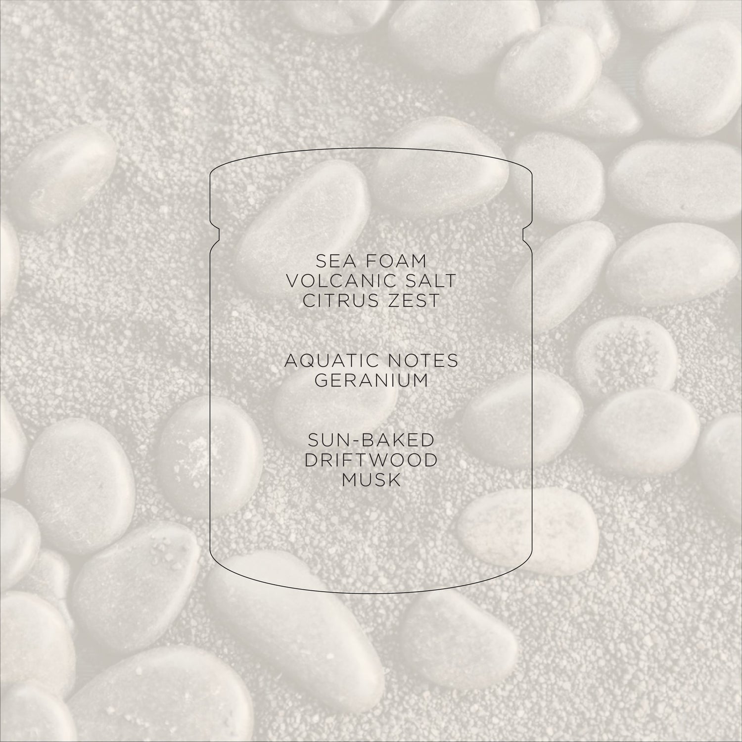 Black Sands + Driftwood