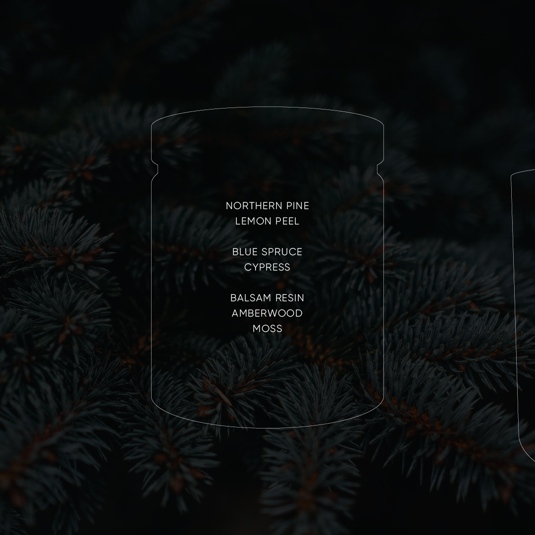 Blue Spruce - Small Soy Candle