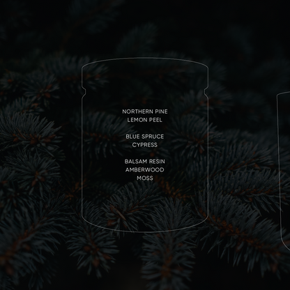 Blue Spruce - Small Soy Candle