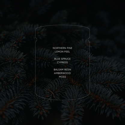 Blue Spruce - Large Soy Candle
