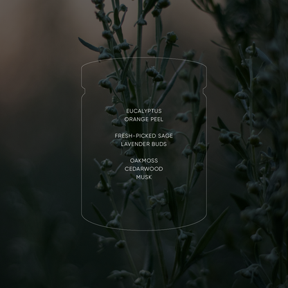 Wild Sage - Classic Soy Candle