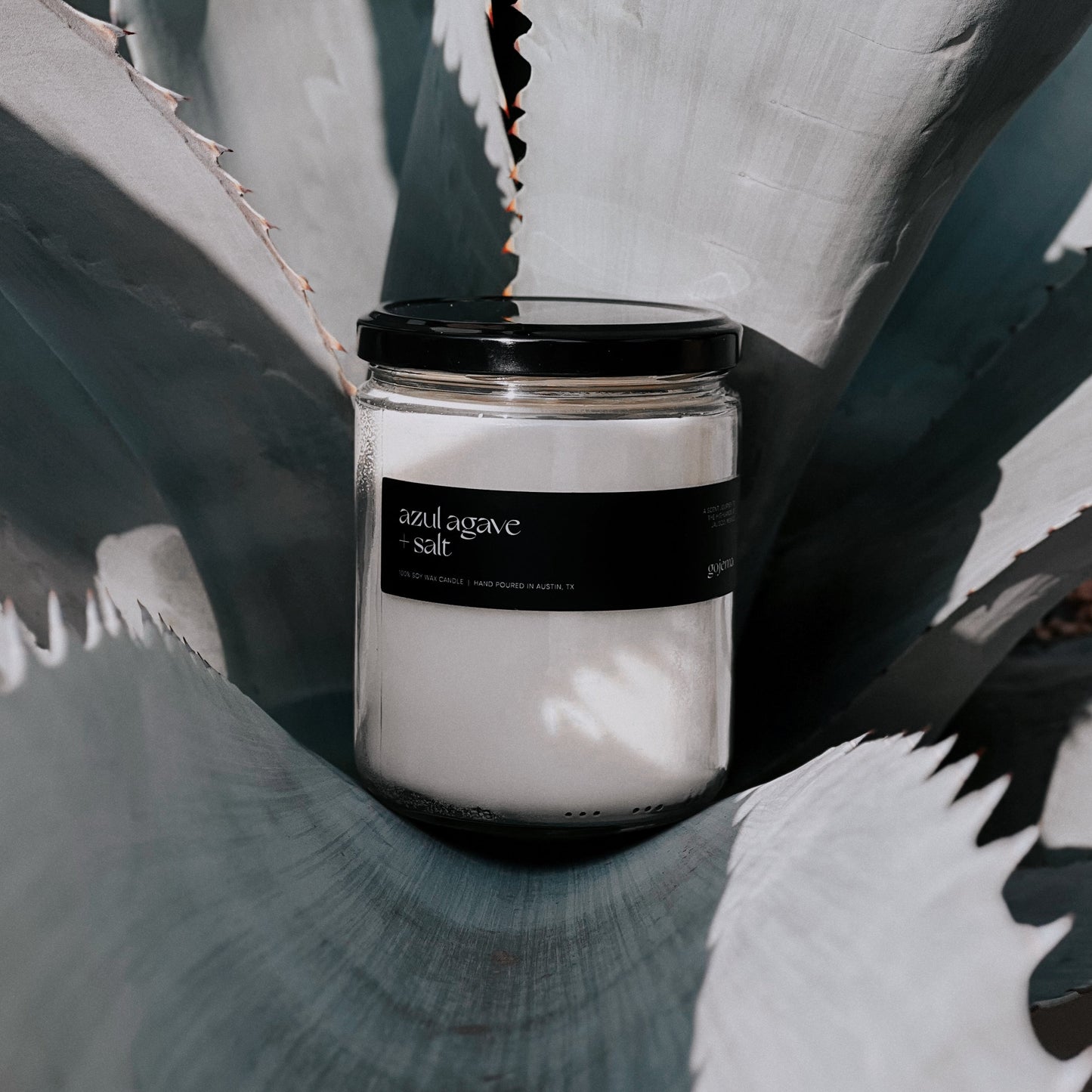 Azul Agave + Salt - Large Soy Candle